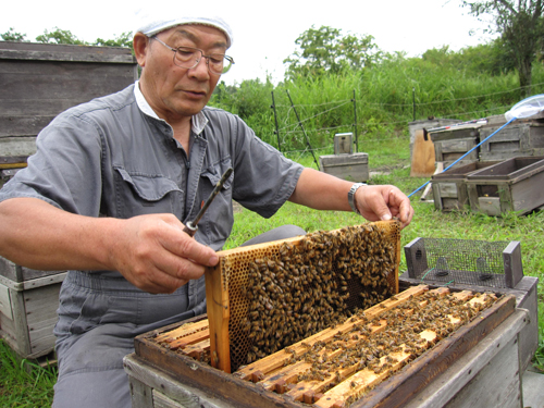 「養蜂家」