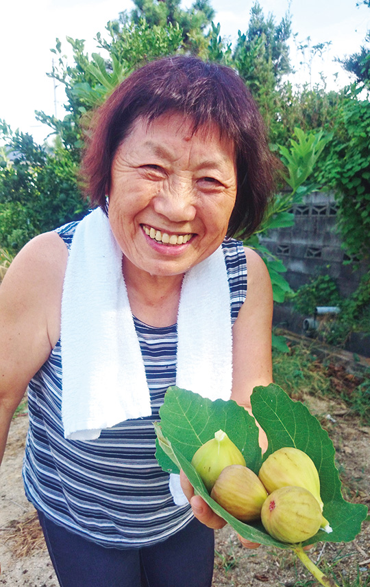 「おばあちゃんの農業」