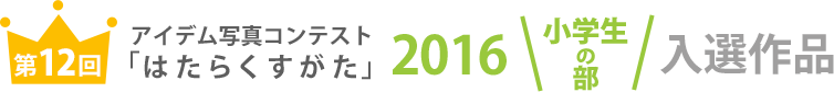 アイデム写真コンテスト「はたらくすがた」2016年小学生の部入選作品