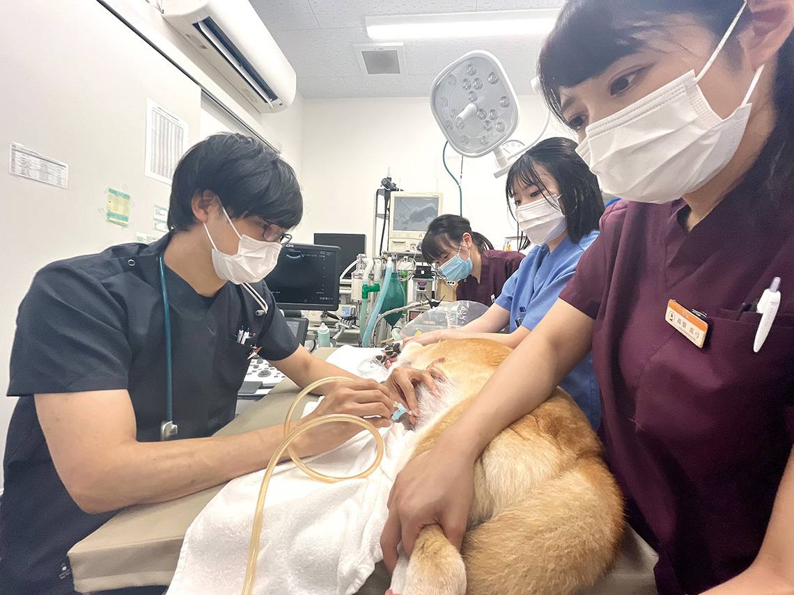 「犬をたすける」