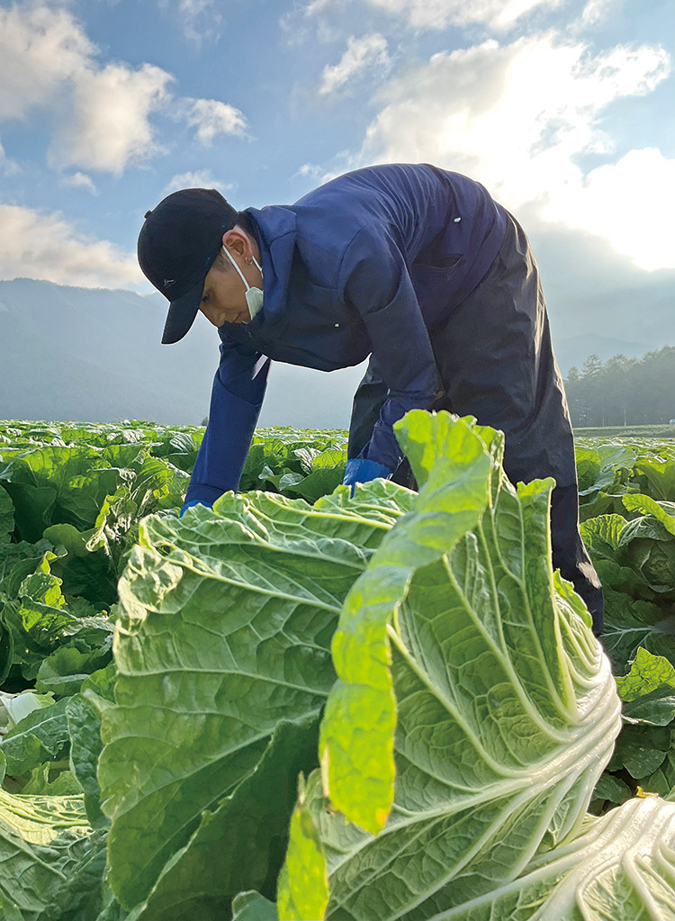 「輝け!海外から来た未来の職人」