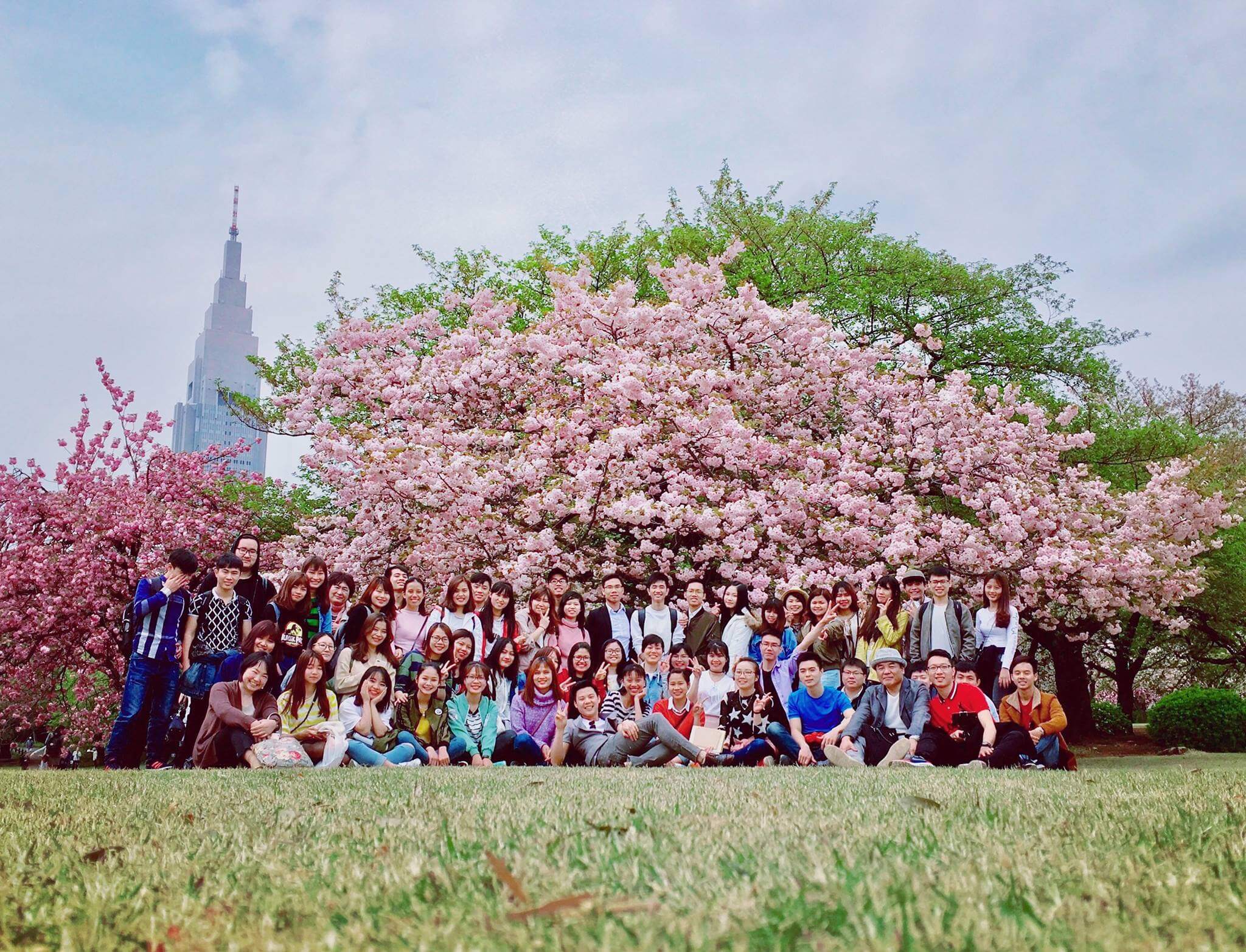 初めての桜